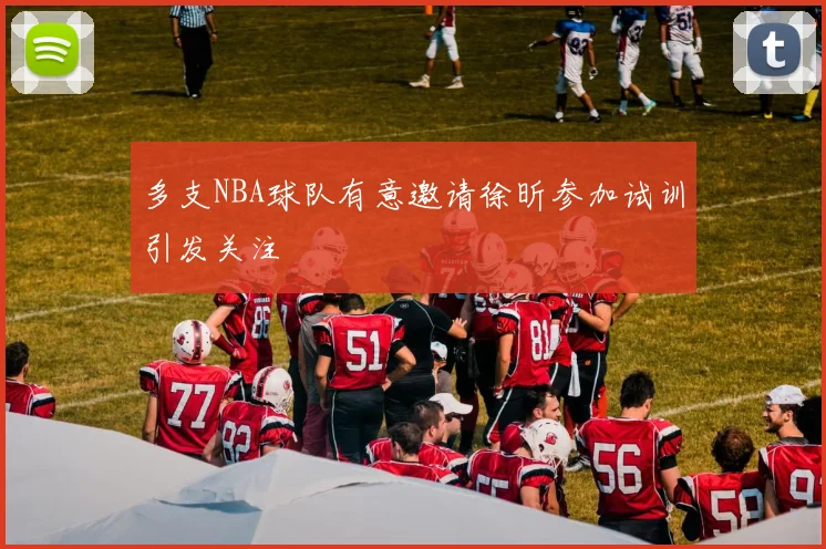 多支NBA球队有意邀请徐昕参加试训引发关注